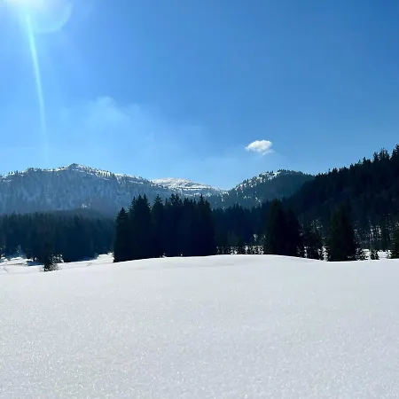 Schober