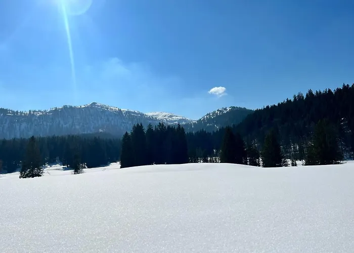 Schober